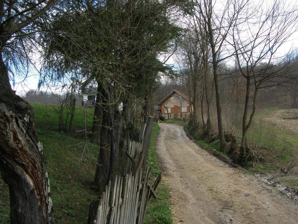 Guesthouse Kuzmanovic Guča Eksteriør billede
