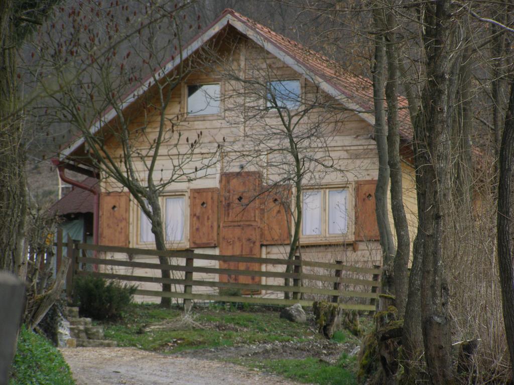 Guesthouse Kuzmanovic Guča Eksteriør billede