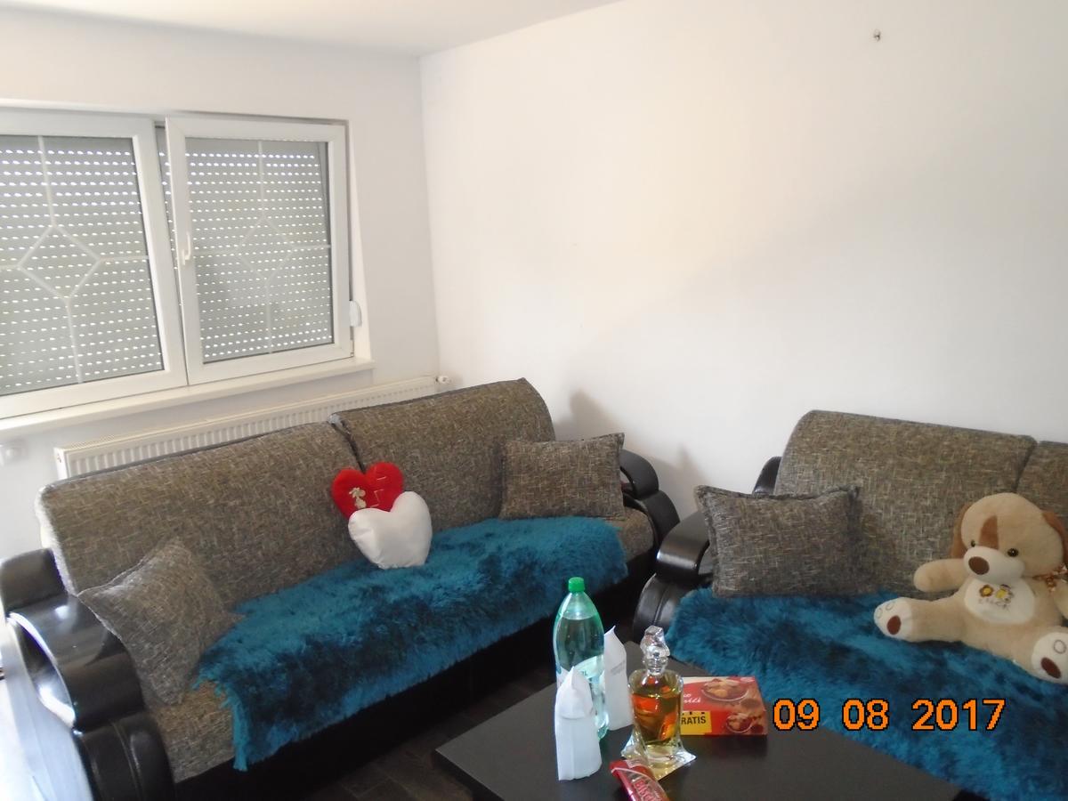 Guesthouse Kuzmanovic Guča Eksteriør billede