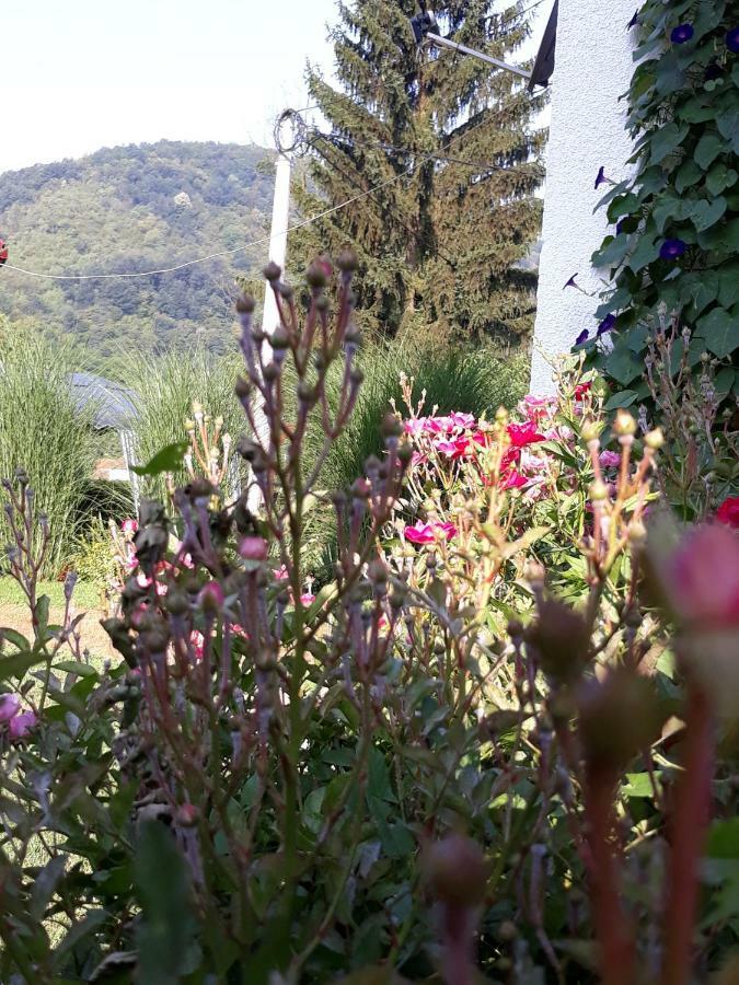 Guesthouse Kuzmanovic Guča Eksteriør billede